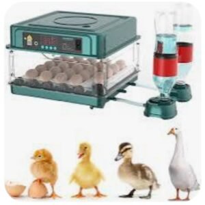 Projet de Développement de l'Aviculture en Milieu Chrétien